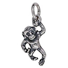 Anhänger Affe in Silber oder Gold, Charm T168, Kettenanhänger oder Bettelarmband-Anhänger