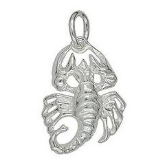 Anhänger Skorpion, Sternzeichen, Tierkreiszeichen in echt Sterling-Silber weiß, Charm, Ketten- oder Bettelarmband-Anhänger