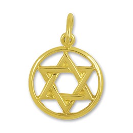 Anhänger Davidstern, Hexagramm im Ring in echt Gelbgold, Charm, Ketten- oder Bettelarmband-Anhänger