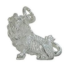 Anhänger Löwe, Tierkreiszeichen in echt Sterling-Silber 925 weiß, Ketten- oder Schlüssel-Anhänger