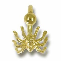 Bauchnabel-Piercing Spinne in echt Gelbgold 750
