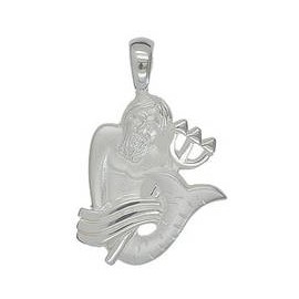 Anhänger Wassermann, Tierkreiszeichen, Sternzeichen in echt Sterling-Silber 925, Ketten- oder Schlüssel-Anhänger