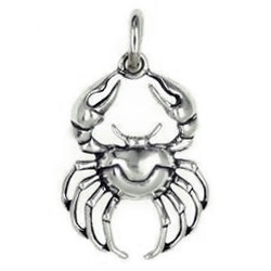 Anhänger Krebs, Tierkreiszeichen in echt Sterling-Silber 925 oder Gold, Ketten- oder Schlüssel-Anhänger