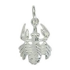 Anhänger Skorpion, Sternzeichen in echt Sterling-Silber 925 weiß, Charm, Ketten- oder Bettelarmband-Anhänger