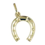 Anhänger Hufeisen in echt Gelbgold 333, Charm, Ketten- oder Bettelarmband-Anhänger
