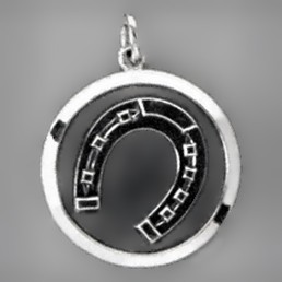 Anhänger Hufeisen, Plakette in echt Sterling-Silber 925 oder Gold, Ketten- oder Schlüssel-Anhänger